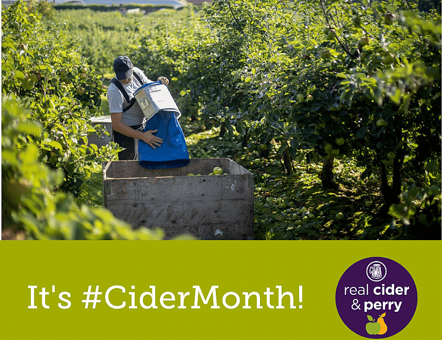 CAMRA celebrates Cider Month throughout May 