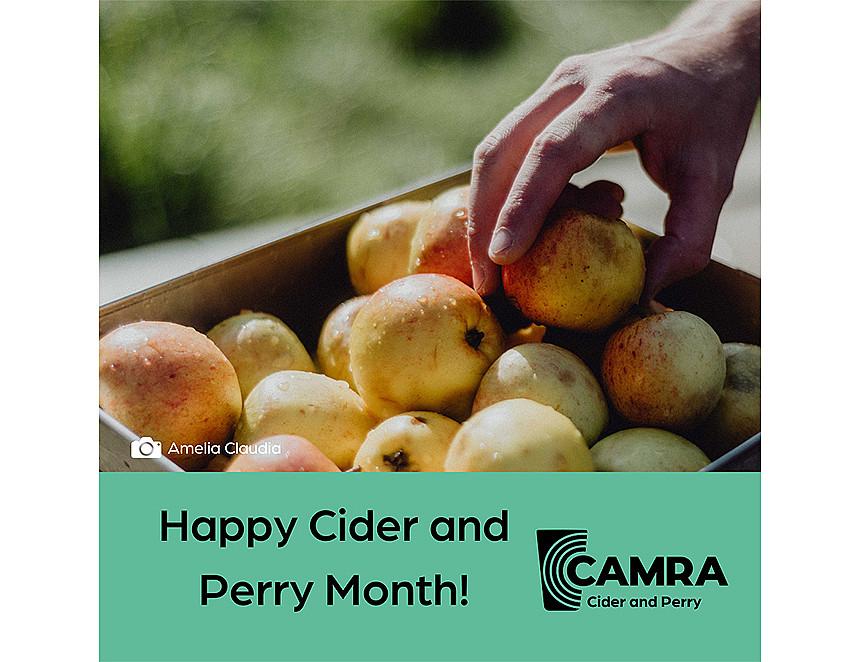 Champion local producers for Cider and Perry Month