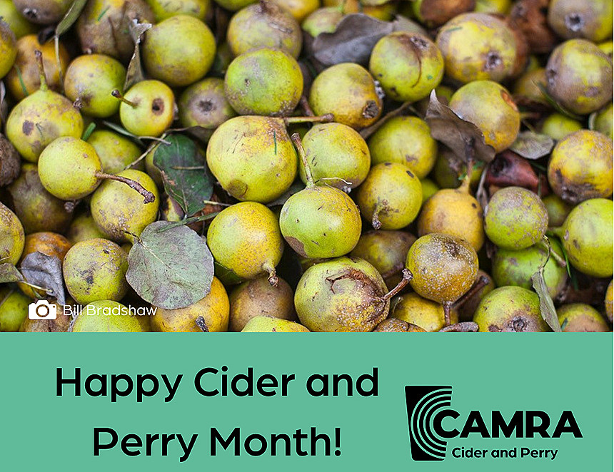 Still time to champion cider and perry 