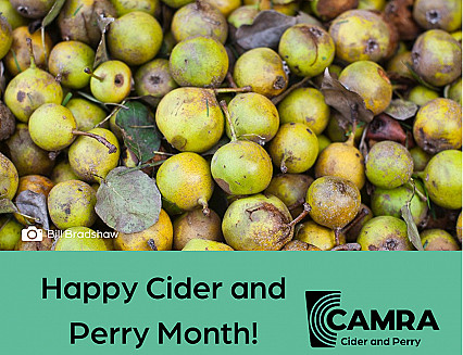 Still time to champion cider and perry 