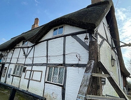 MP steps in to Cock fight 